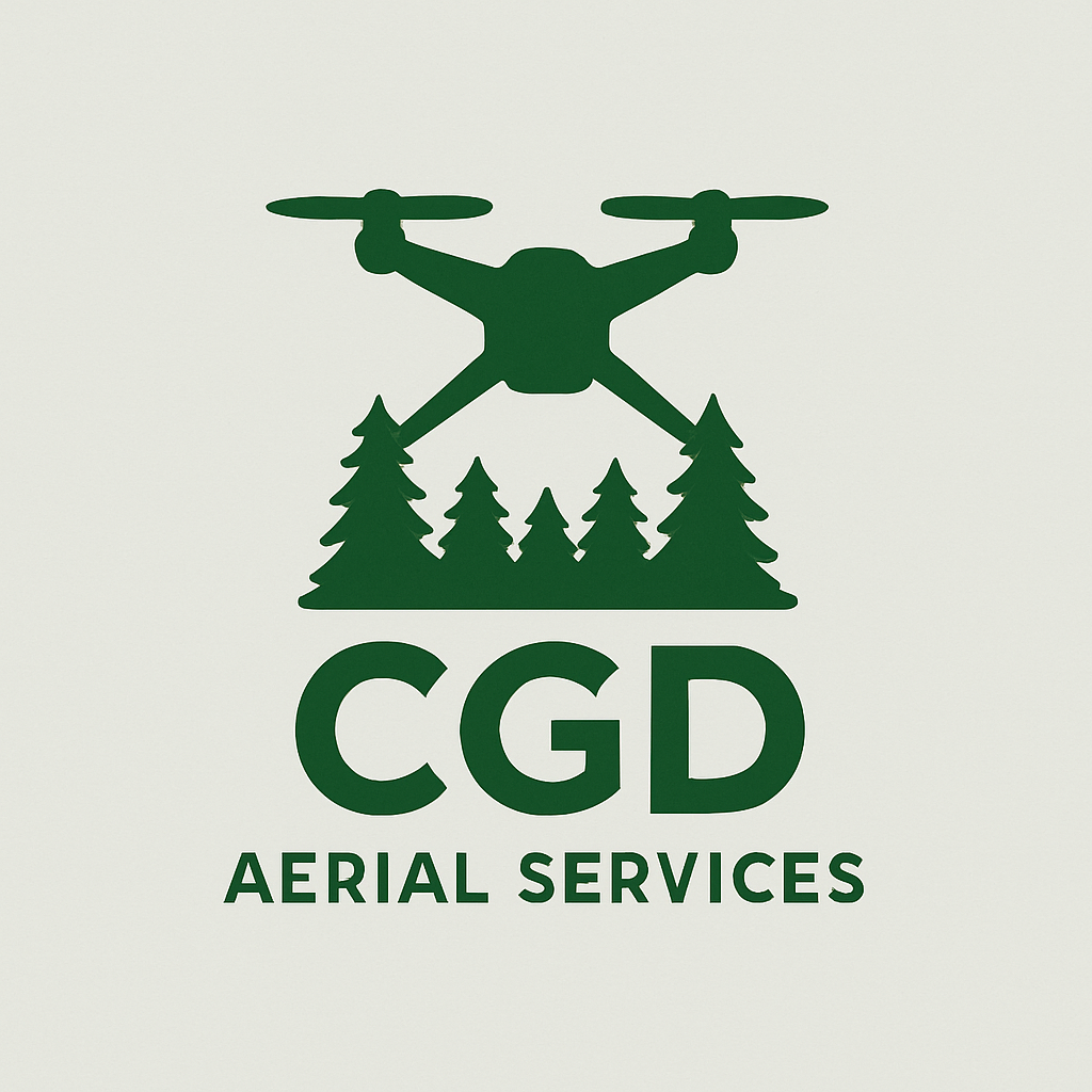 ChatGPT Image Jun 28, 2025, 12_23_53 PM