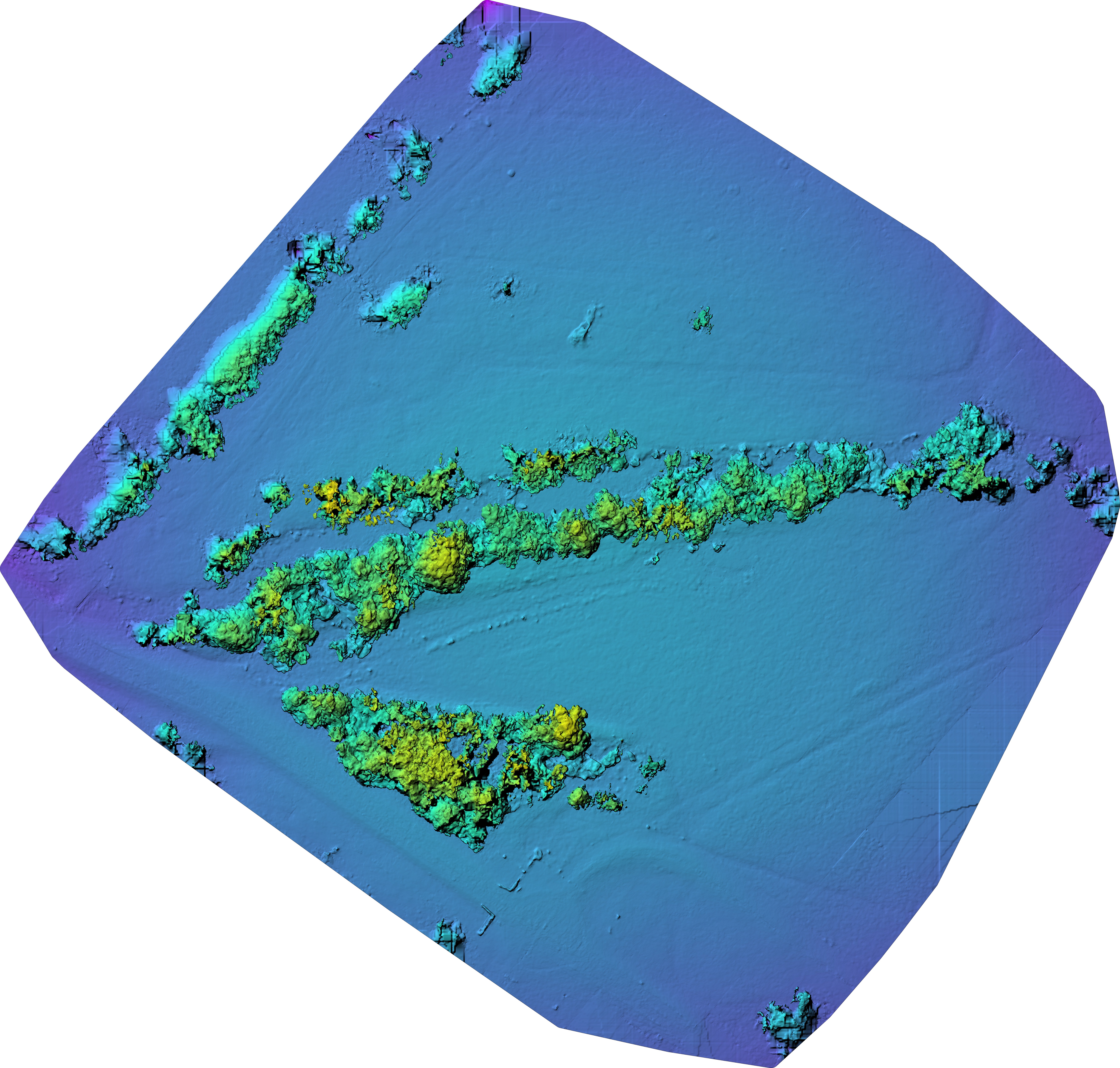 R-Morgan-12-22-2025-dsm